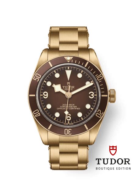 tudor bb 58 bronze|tudor m79018v 0001.